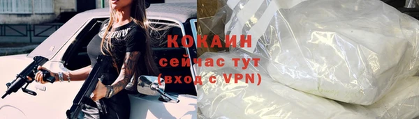 прущий лед Алзамай