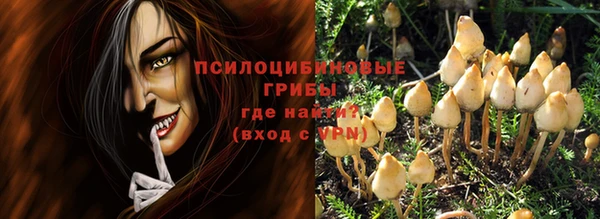 прущий лед Алзамай
