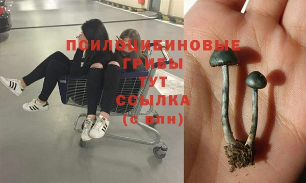 герыч Осташков