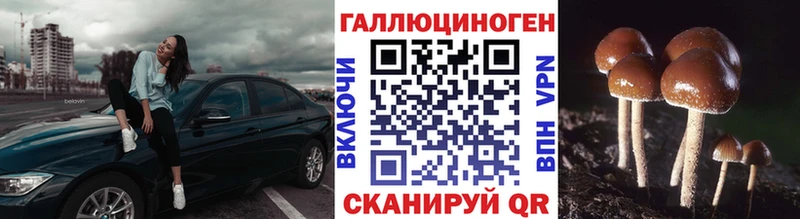 Псилоцибиновые грибы мицелий  магазин  наркотиков  Щигры 
